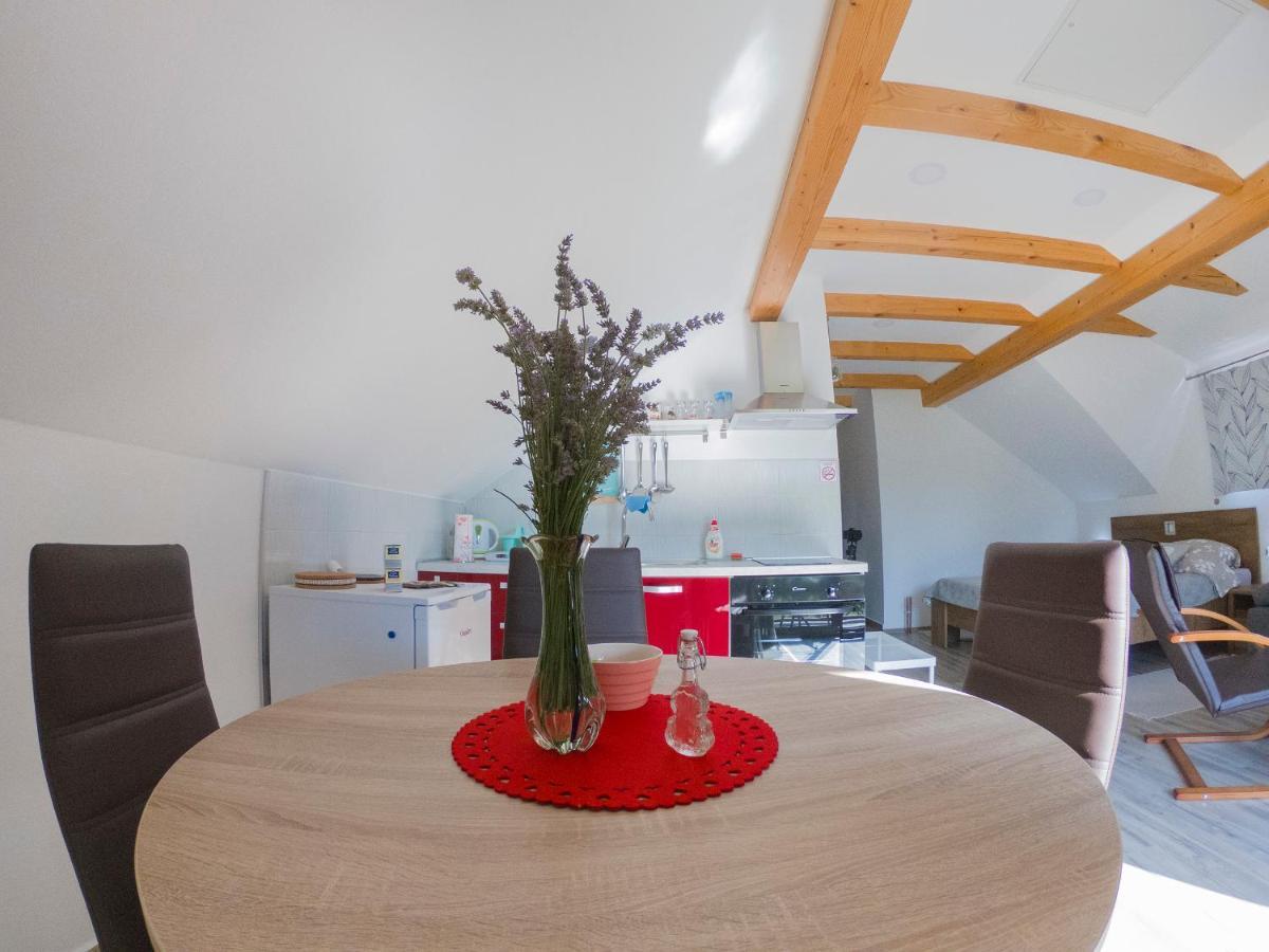 Studio Apartment Karlo 德雷兹尼克格雷德 外观 照片